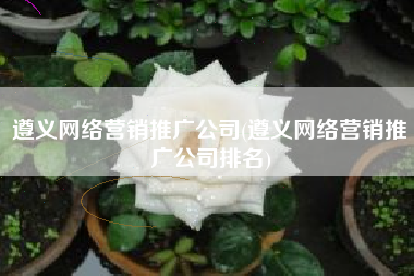 遵义网络营销推广公司(遵义网络营销推广公司排名)