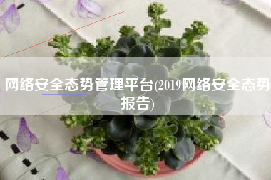 网络安全态势管理平台(2019网络安全态势报告)