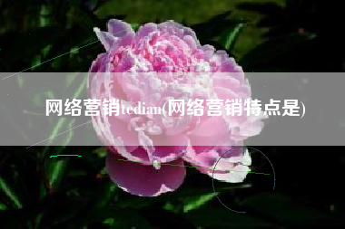 网络营销tedian(网络营销特点是)
