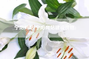 宁阳网站(宁阳网站建设价格)