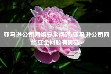 亚马逊公司网络安全问题(亚马逊公司网络安全问题有哪些)