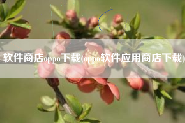 软件商店oppo下载(oppo软件应用商店下载)