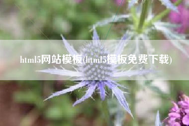 html5网站模板(html5模板免费下载)