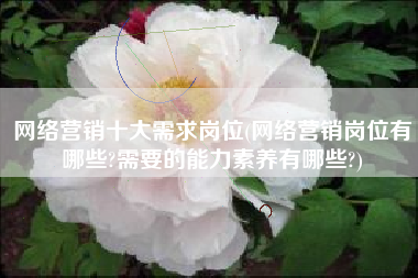 网络营销十大需求岗位(网络营销岗位有哪些?需要的能力素养有哪些?)