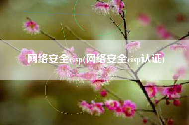 网络安全cisp(网络安全cisp认证)