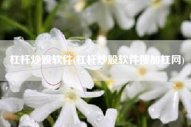 杠杆炒股软件(杠杆炒股软件搜加杠网)