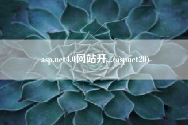 asp.net4.0网站开...(aspnet20)