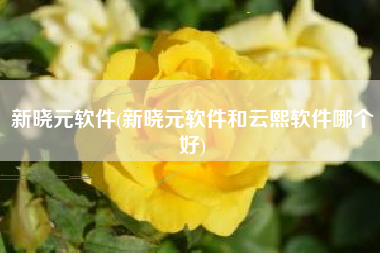 新晓元软件(新晓元软件和云熙软件哪个好)