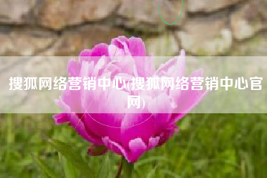 搜狐网络营销中心(搜狐网络营销中心官网)