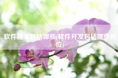 软件开发包括哪些(软件开发包括哪些岗位)