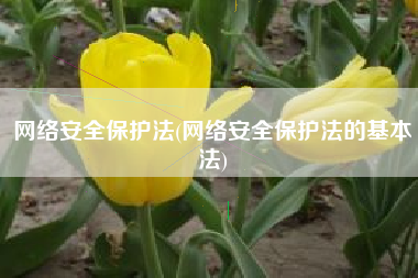网络安全保护法(网络安全保护法的基本法)