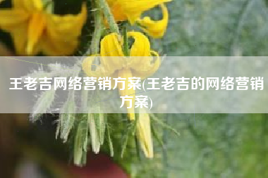 王老吉网络营销方案(王老吉的网络营销方案)