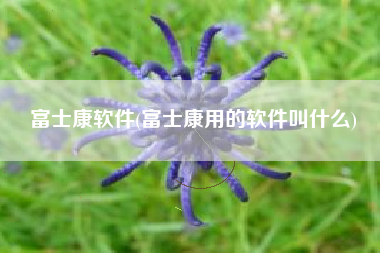 富士康软件(富士康用的软件叫什么)