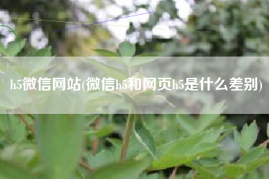 h5微信网站(微信h5和网页h5是什么差别)
