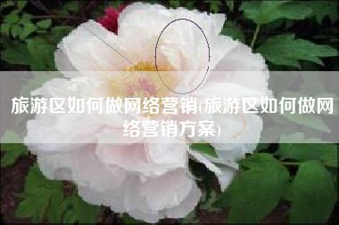 旅游区如何做网络营销(旅游区如何做网络营销方案)