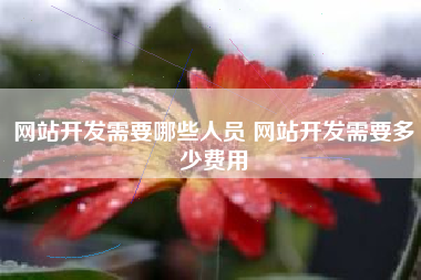 网站开发需要哪些人员 网站开发需要多少费用