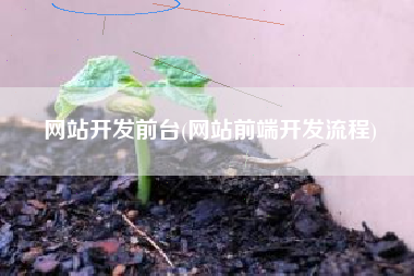 网站开发前台(网站前端开发流程)