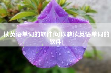 读英语单词的软件(可以教读英语单词的软件)