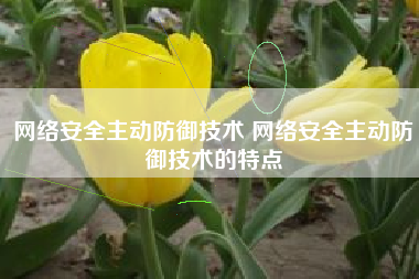 网络安全主动防御技术 网络安全主动防御技术的特点