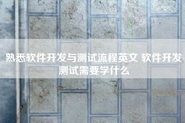 熟悉软件开发与测试流程英文 软件开发测试需要学什么