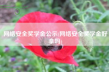 网络安全奖学金公示(网络安全奖学金好拿吗)