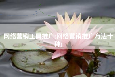 网络营销工具推广(网络营销推广方法十种)