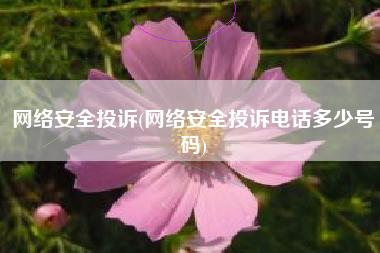 网络安全投诉(网络安全投诉电话多少号码)