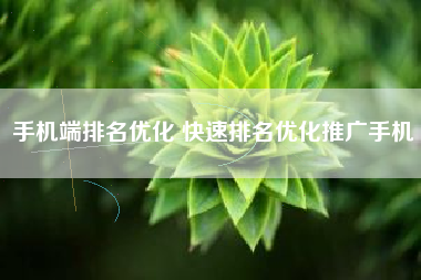手机端排名优化 快速排名优化推广手机