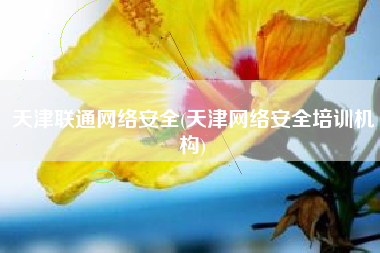 天津联通网络安全(天津网络安全培训机构)