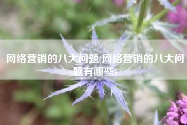 网络营销的八大问题(网络营销的八大问题有哪些)
