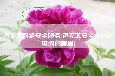 迈克菲网络安全服务(迈克菲安全中心在电脑的哪里)