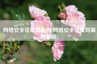 网络安全法处罚案例(网络安全法处罚案例最新)