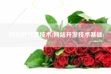 网站的开发技术(网站开发技术基础)