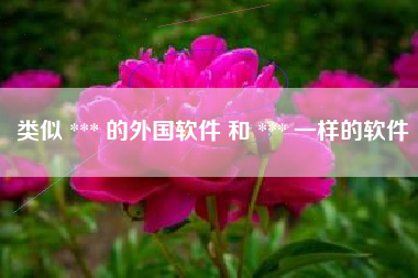 类似 *** 的外国软件 和 *** 一样的软件
