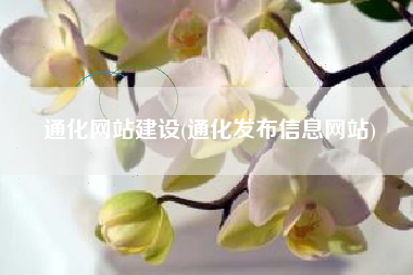 通化网站建设(通化发布信息网站)