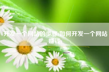 开发一个网站的步骤(如何开发一个网站赚钱)