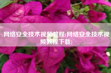 网络安全技术视频教程(网络安全技术视频教程下载)