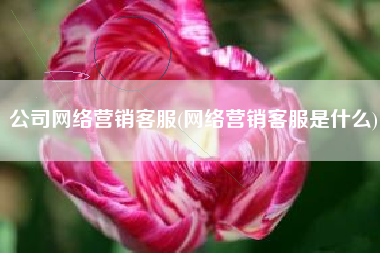 公司网络营销客服(网络营销客服是什么)