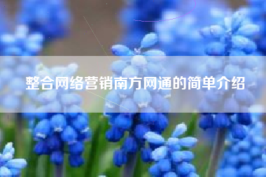 整合网络营销南方网通的简单介绍