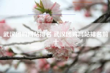 武汉团购网站排名 武汉团购网站排名前十