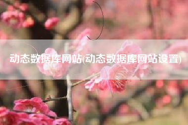 动态数据库网站(动态数据库网站设置)