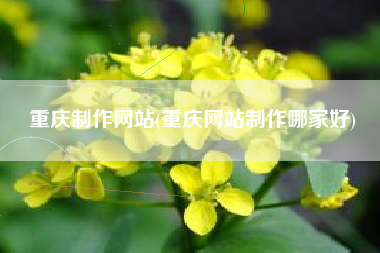 重庆制作网站(重庆网站制作哪家好)