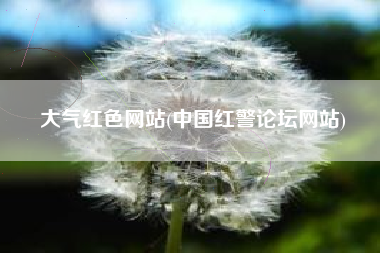 大气红色网站(中国红警论坛网站)