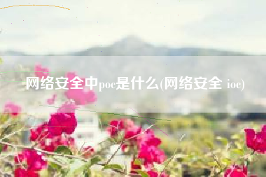 网络安全中poc是什么(网络安全 ioc)