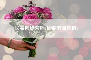 长春网络营销(长春电商营销)
