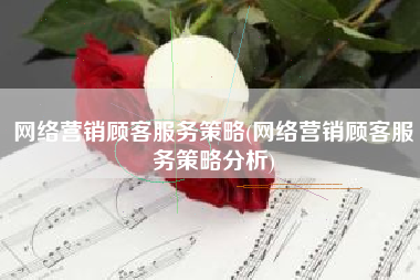 网络营销顾客服务策略(网络营销顾客服务策略分析)