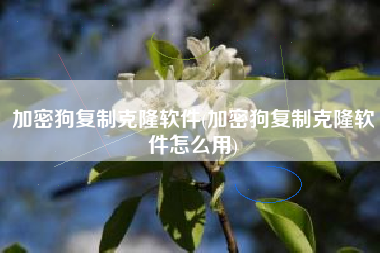 加密狗复制克隆软件(加密狗复制克隆软件怎么用)