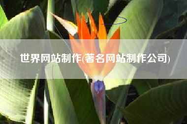 世界网站制作(著名网站制作公司)