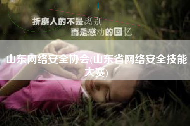 山东网络安全协会(山东省网络安全技能大赛)
