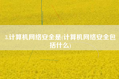 3.计算机网络安全是(计算机网络安全包括什么)